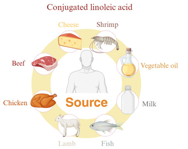 Linolo rūgšties šaltiniai