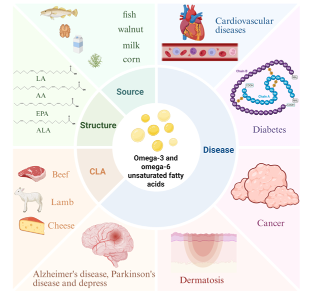 Omega-3 ir omega-6 šaltiniai, struktūra ir ligos