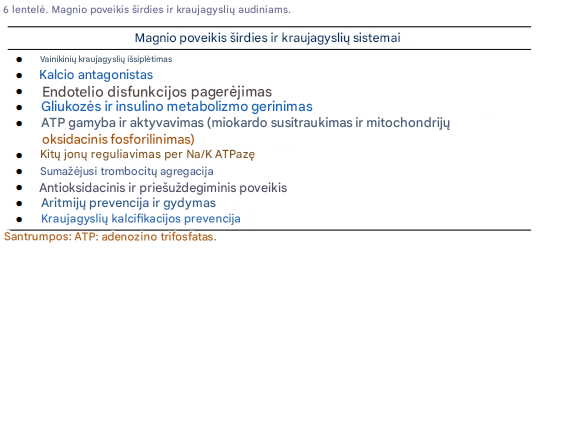 Vitamino D ir magnio derinio svarba fiziškai aktyviems žmonėms