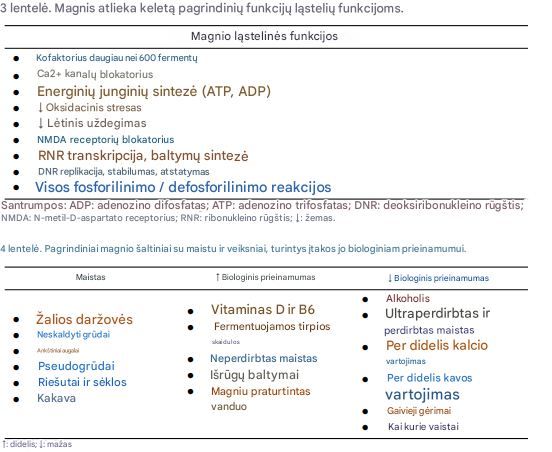 Vitamino D ir magnio derinio svarba fiziškai aktyviems žmonėms